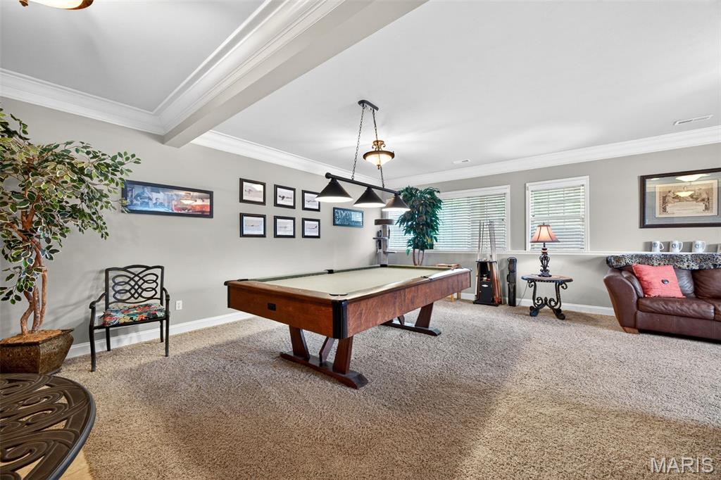 906 Daffodil Ridge Drive O'Fallon, MO 63366 - Photo 33 of 52