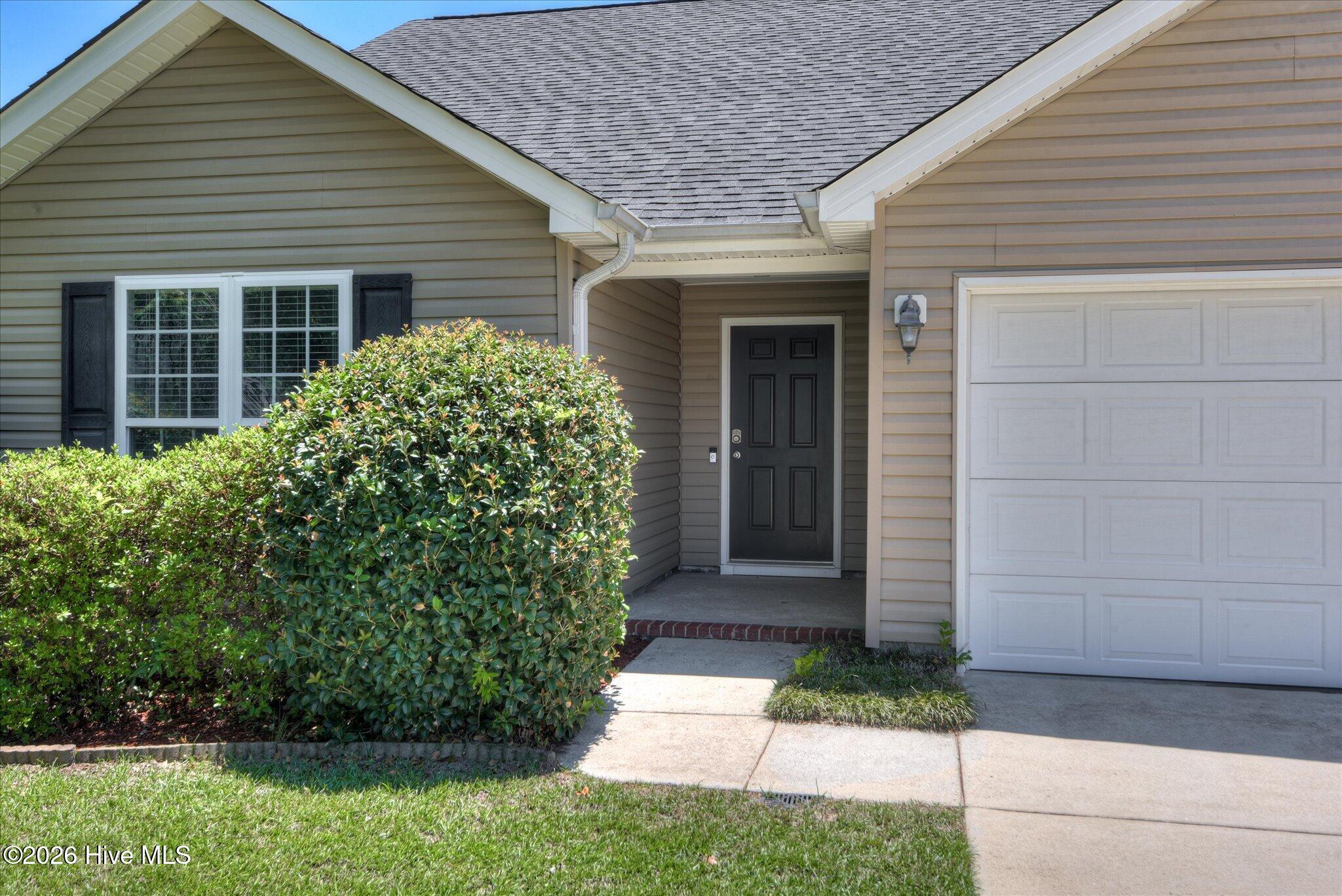 1146 Oxpens Road Warrenville, SC 29851 - Photo 4 of 33