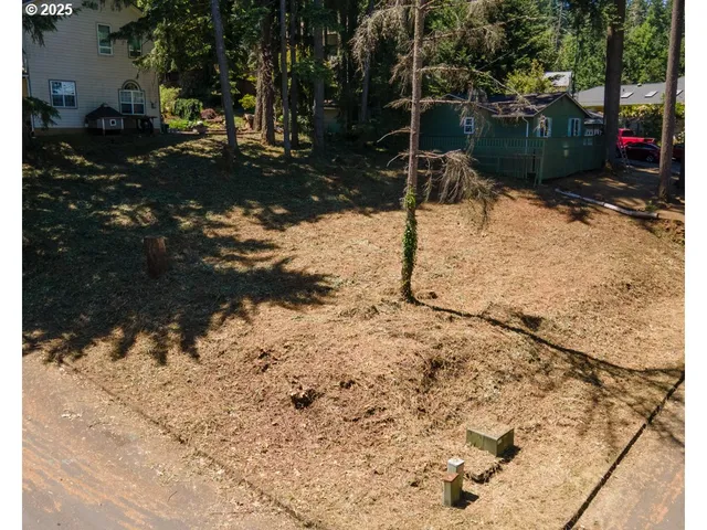 a view of snow on the road
