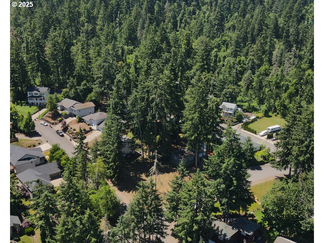 South 69th Place Springfield, OR 97478 - Photo 12 of 16 a view of a forest with a house