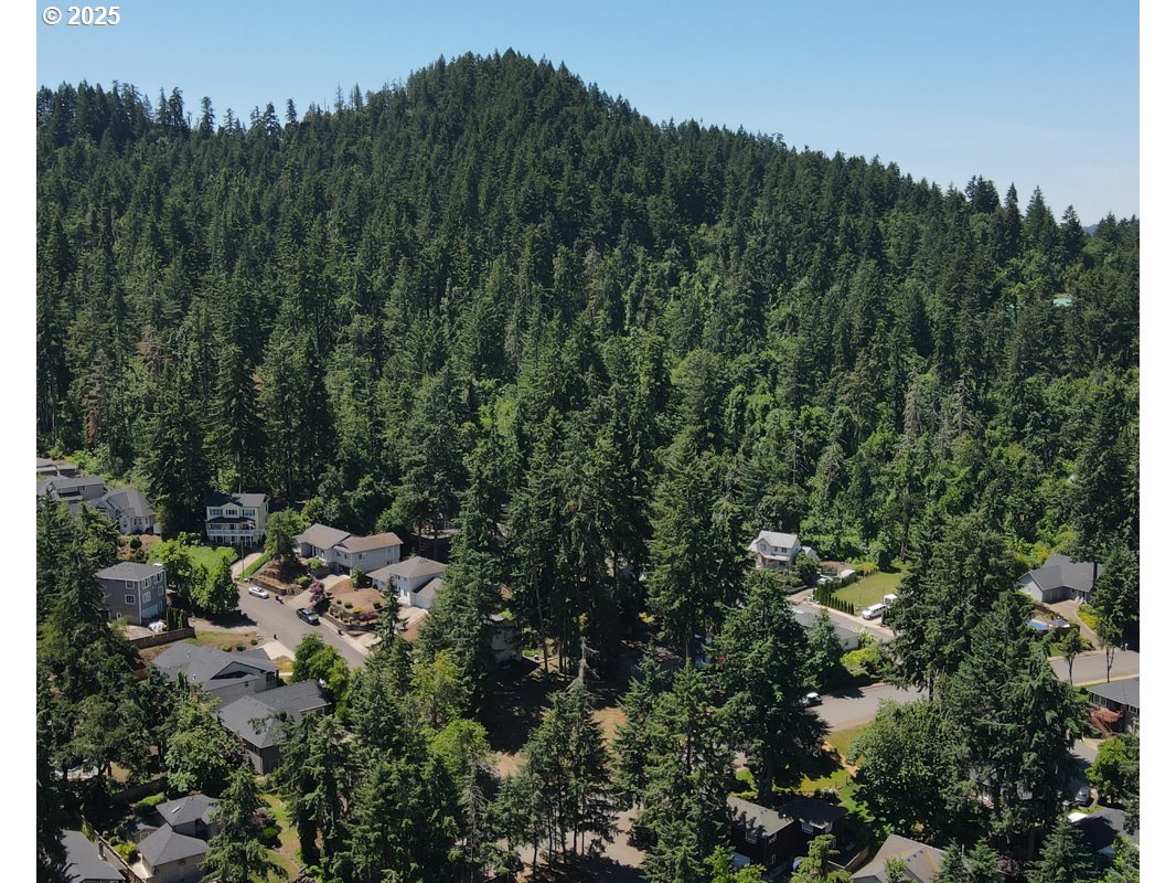 South 69th Place Springfield, OR 97478 - Photo 13 of 16 a view of a house with a lush green forest