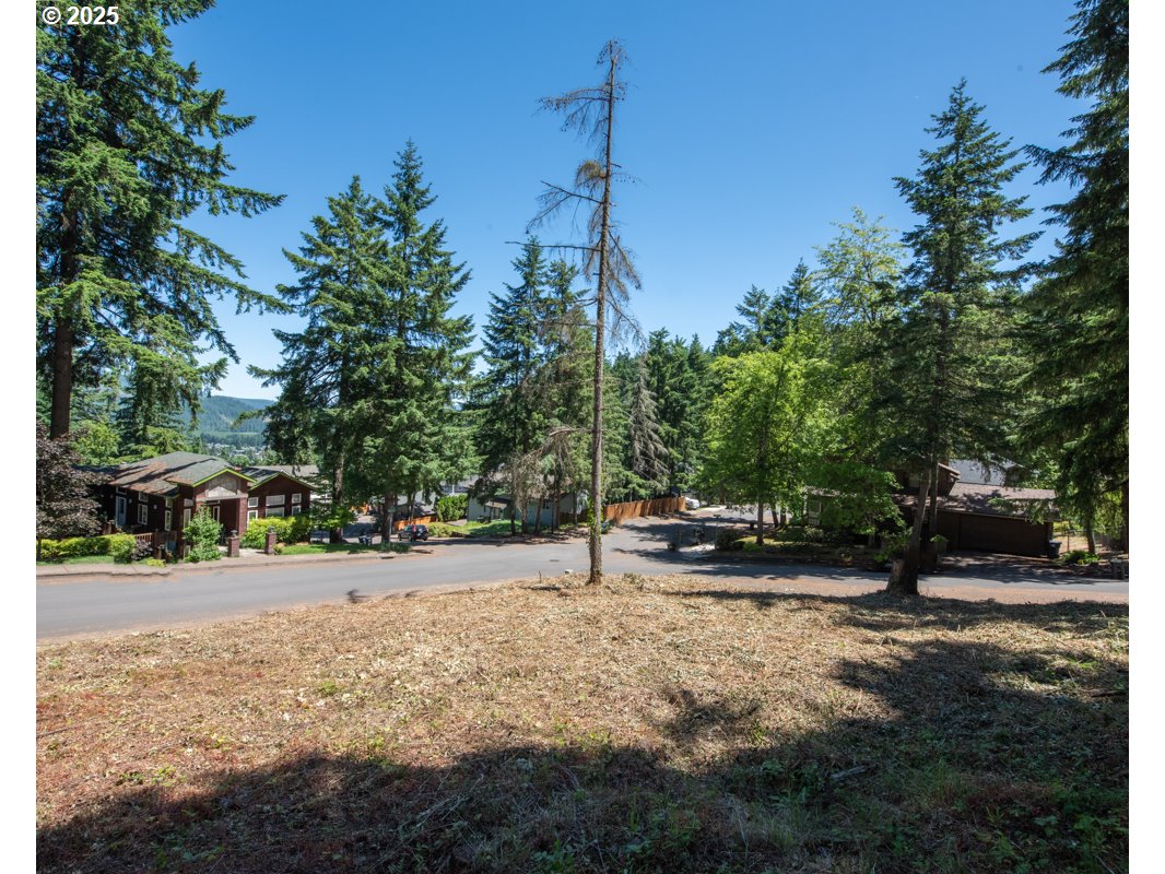 South 69th Place Springfield, OR 97478 - Photo 3 of 16 a view of a park with large trees