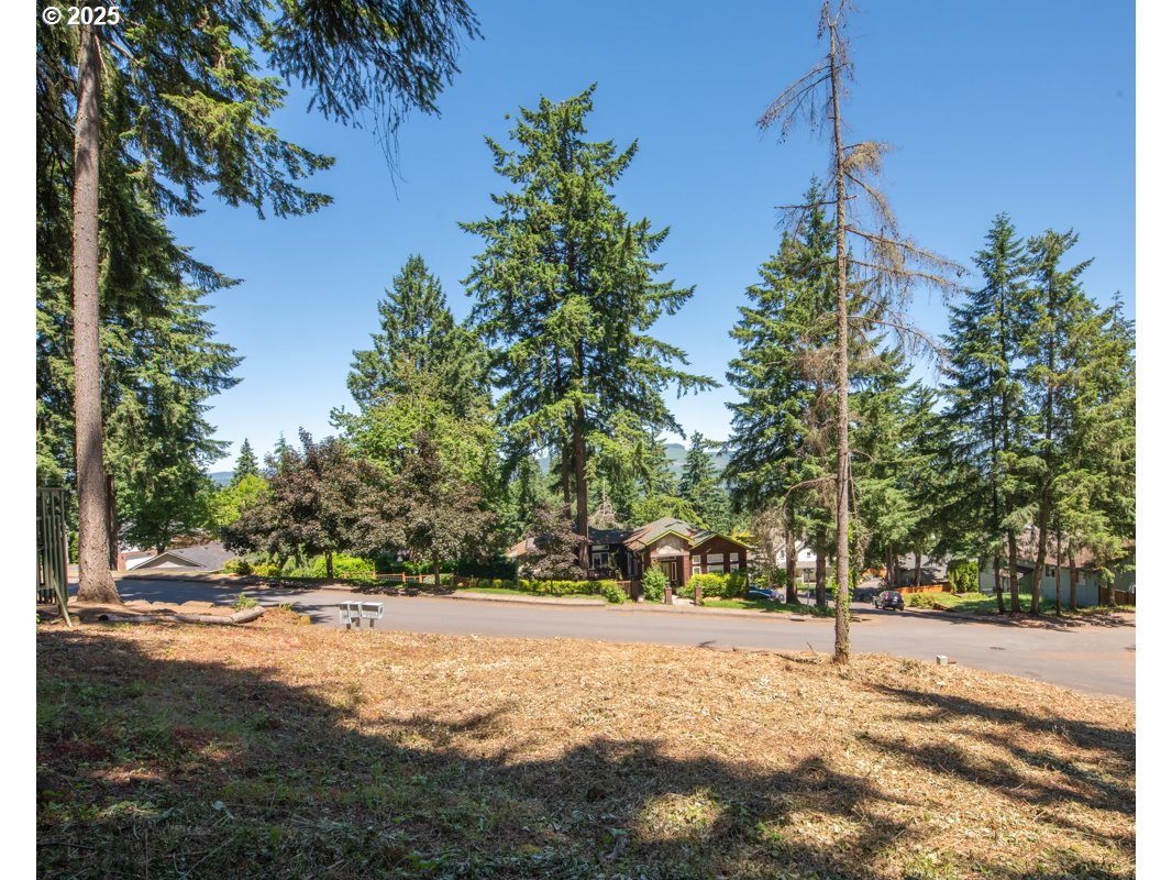South 69th Place Springfield, OR 97478 - Photo 4 of 16 a view of outdoor space with trees