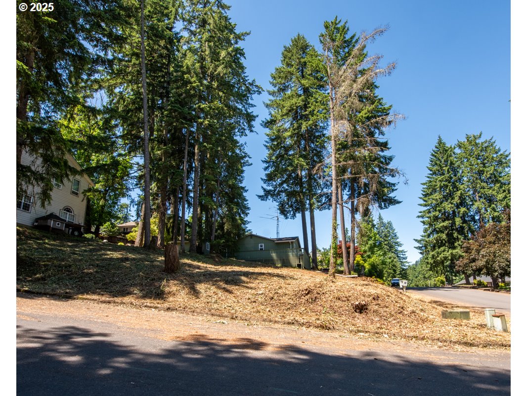 South 69th Place Springfield, OR 97478 - Photo 5 of 16 a view of a yard with wooden fence