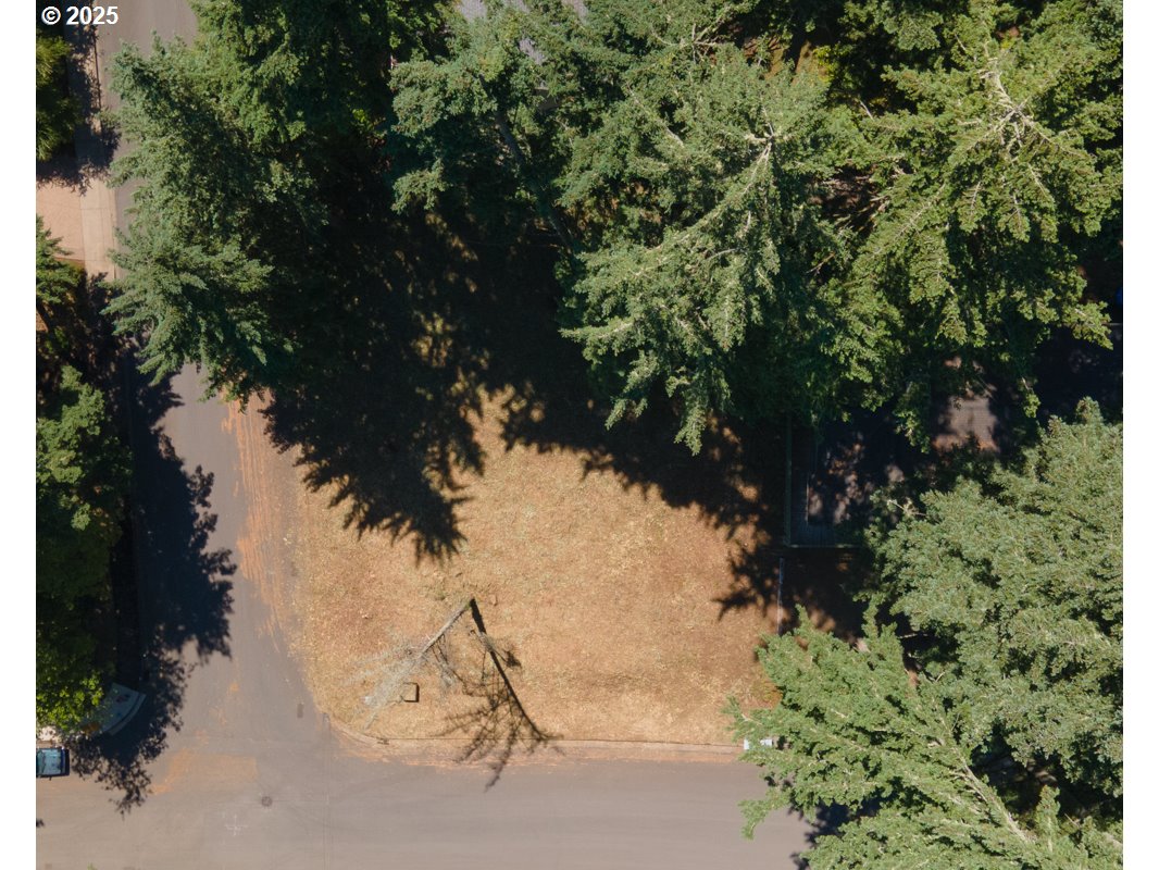 South 69th Place Springfield, OR 97478 - Photo 7 of 16 a view of a plant in a yard