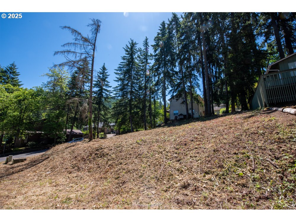 South 69th Place Springfield, OR 97478 - Photo 8 of 16 a view of a backyard of the house
