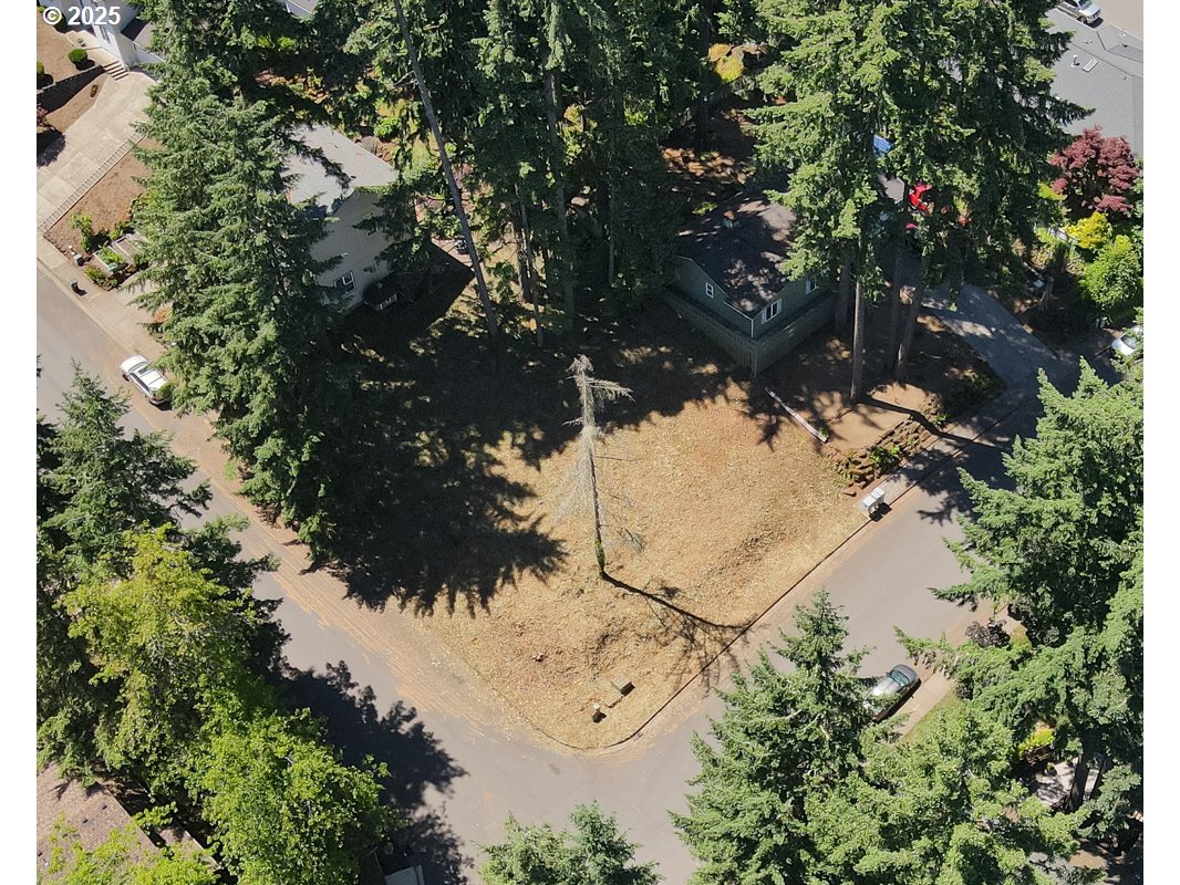South 69th Place Springfield, OR 97478 - Photo 10 of 16 a view of outdoor space with a trees