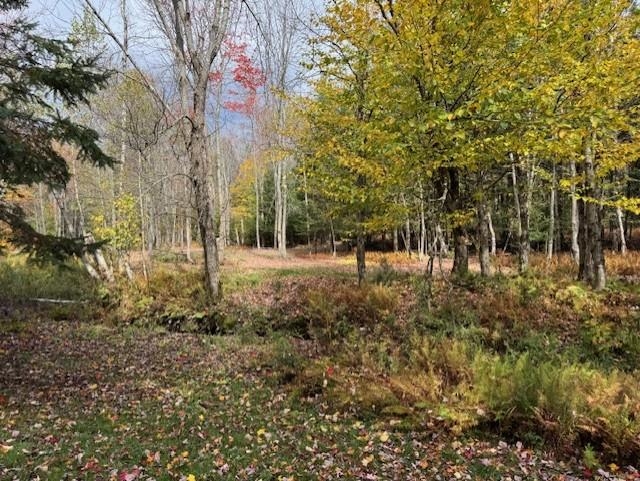 3433 West Hill Road Montgomery, VT 05450 - Photo 12 of 18