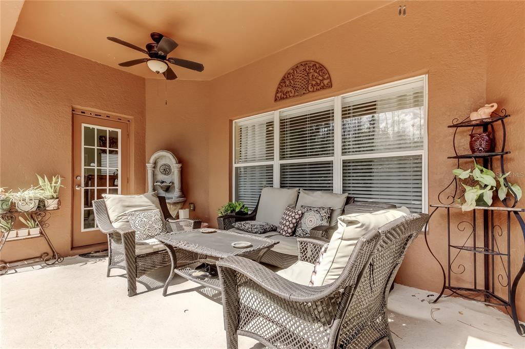 11414 Crisfield Place New Port Richey, FL 34654 - Photo 32 of 48
