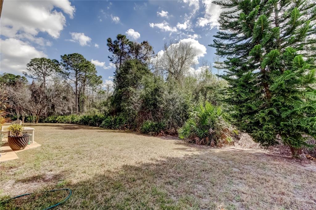 11414 Crisfield Place New Port Richey, FL 34654 - Photo 33 of 48