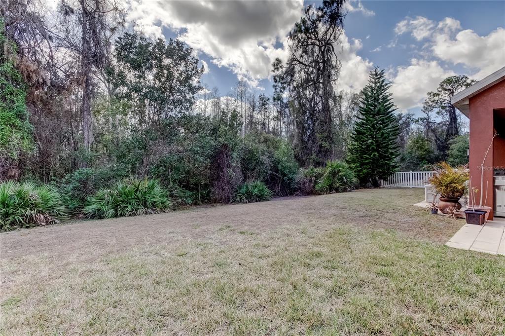 11414 Crisfield Place New Port Richey, FL 34654 - Photo 35 of 48