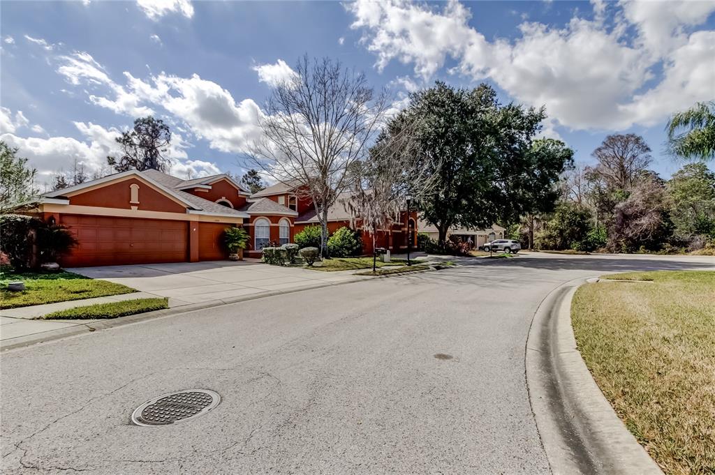11414 Crisfield Place New Port Richey, FL 34654 - Photo 36 of 48