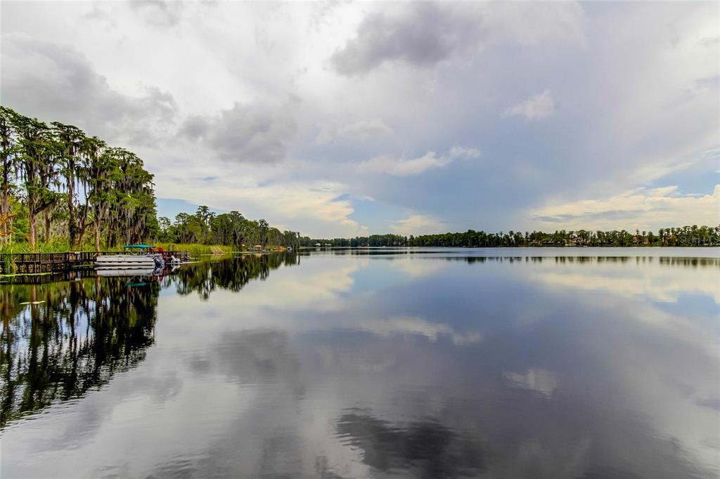 11414 Crisfield Place New Port Richey, FL 34654 - Photo 4 of 48