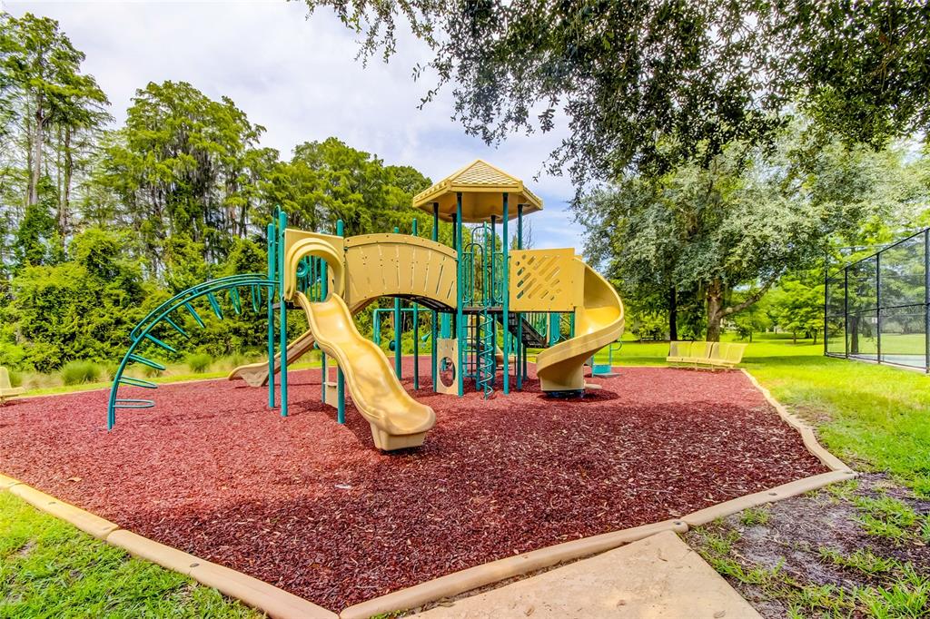 11414 Crisfield Place New Port Richey, FL 34654 - Photo 42 of 48