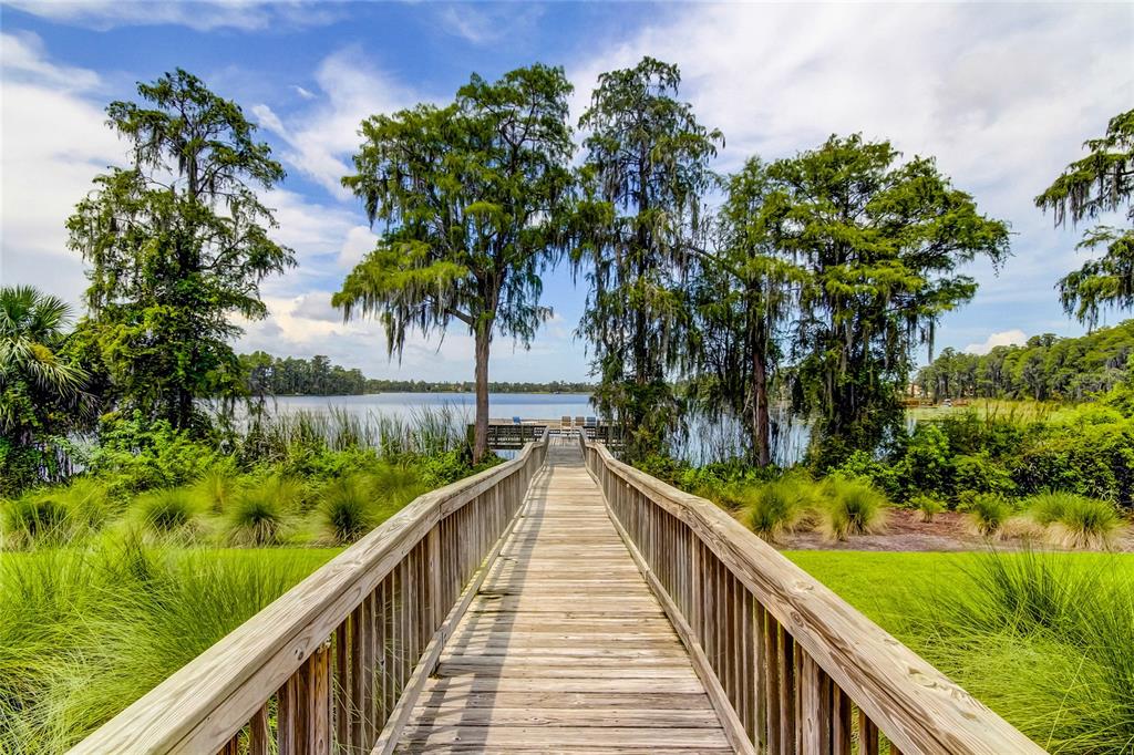 11414 Crisfield Place New Port Richey, FL 34654 - Photo 43 of 48