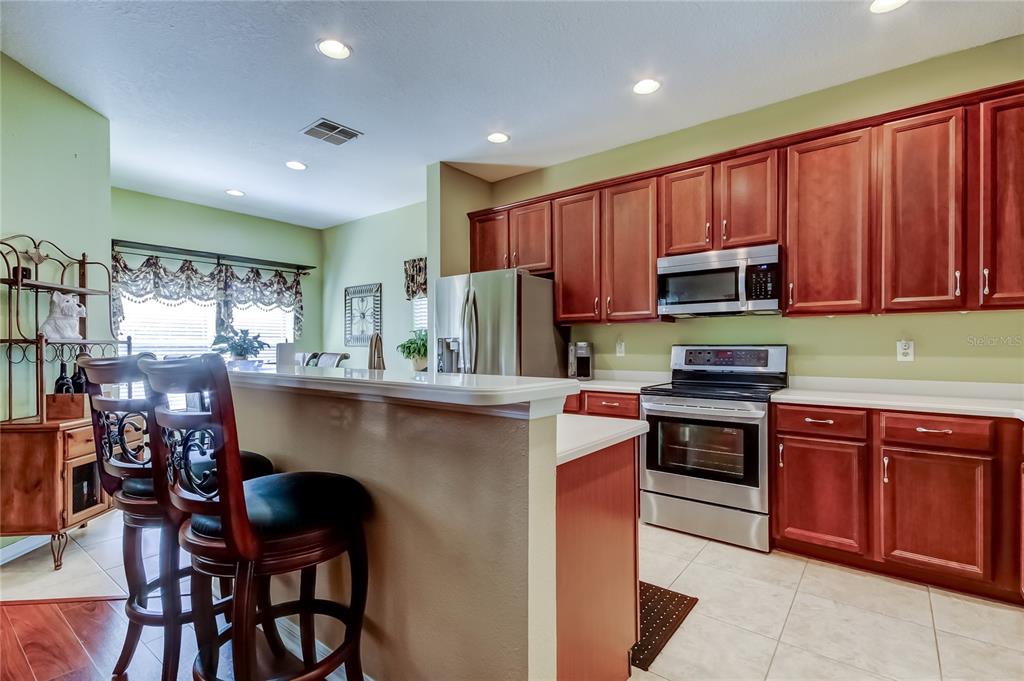 11414 Crisfield Place New Port Richey, FL 34654 - Photo 10 of 48