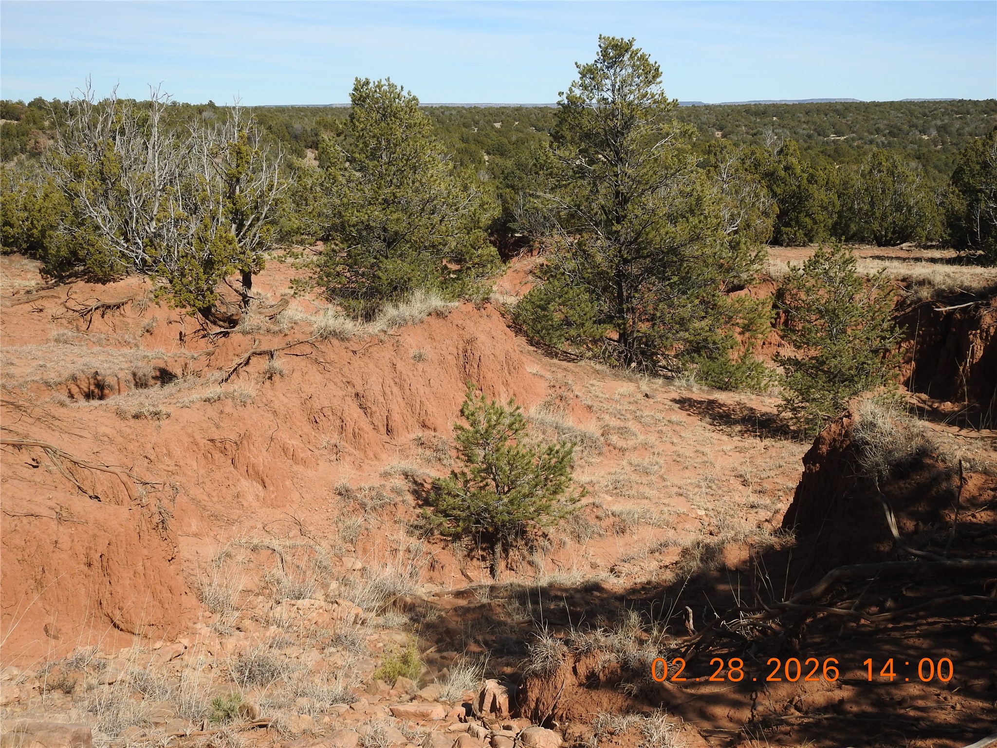 305 A Cr Ribera, NM 87560 - Photo 10 of 23