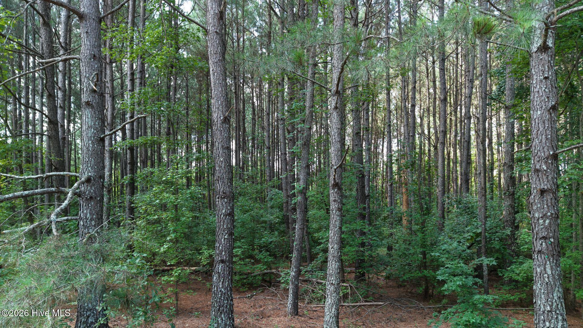 0 Prospect Road Pembroke, NC 28372 - Photo 26 of 45