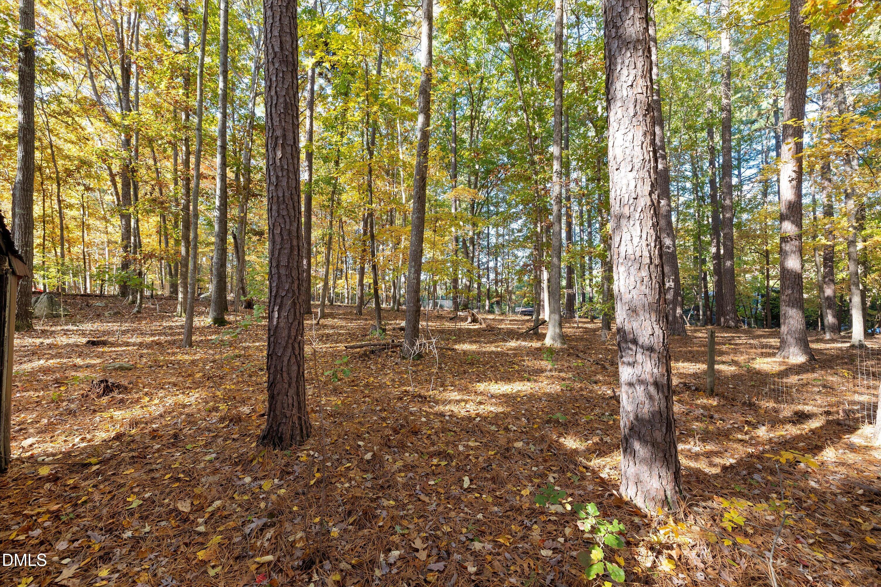 5917 Scalybark Road Durham, NC 27712 - Photo 44 of 47 a view of a yard with trees