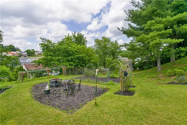 a view of a park with large trees