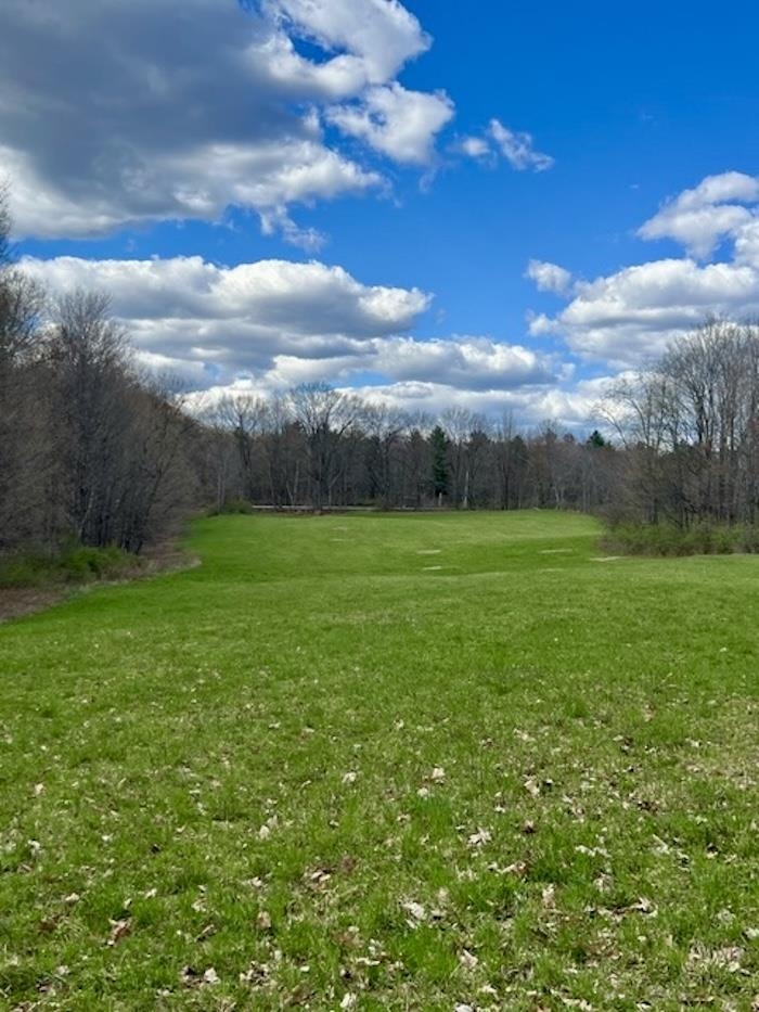 0 Spruce Knob Road, Unit LOT 1 Middletown Springs, VT 05757 - Photo 2 of 5