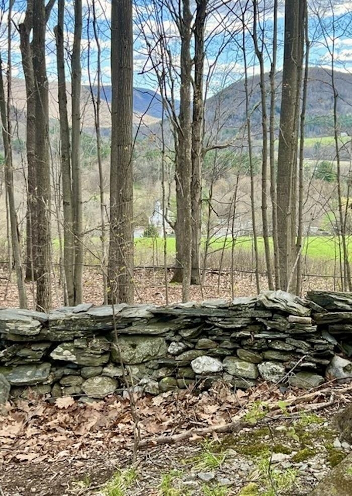 0 Spruce Knob Road, Unit LOT 1 Middletown Springs, VT 05757 - Photo 3 of 5