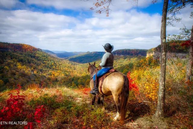 $525,000 | 224 Eagle Bluff, Jamestown, TN 38556