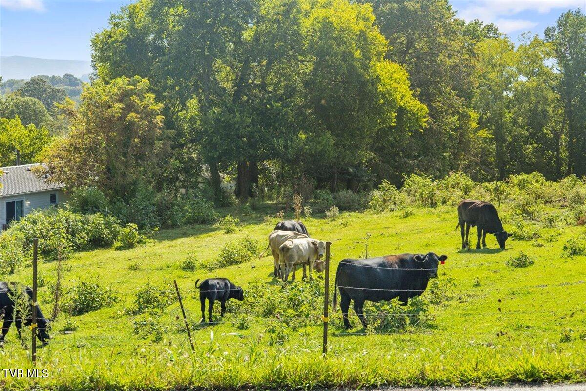 283 Telford Road Telford, TN 37690 - Photo 10 of 52 10-128A9878