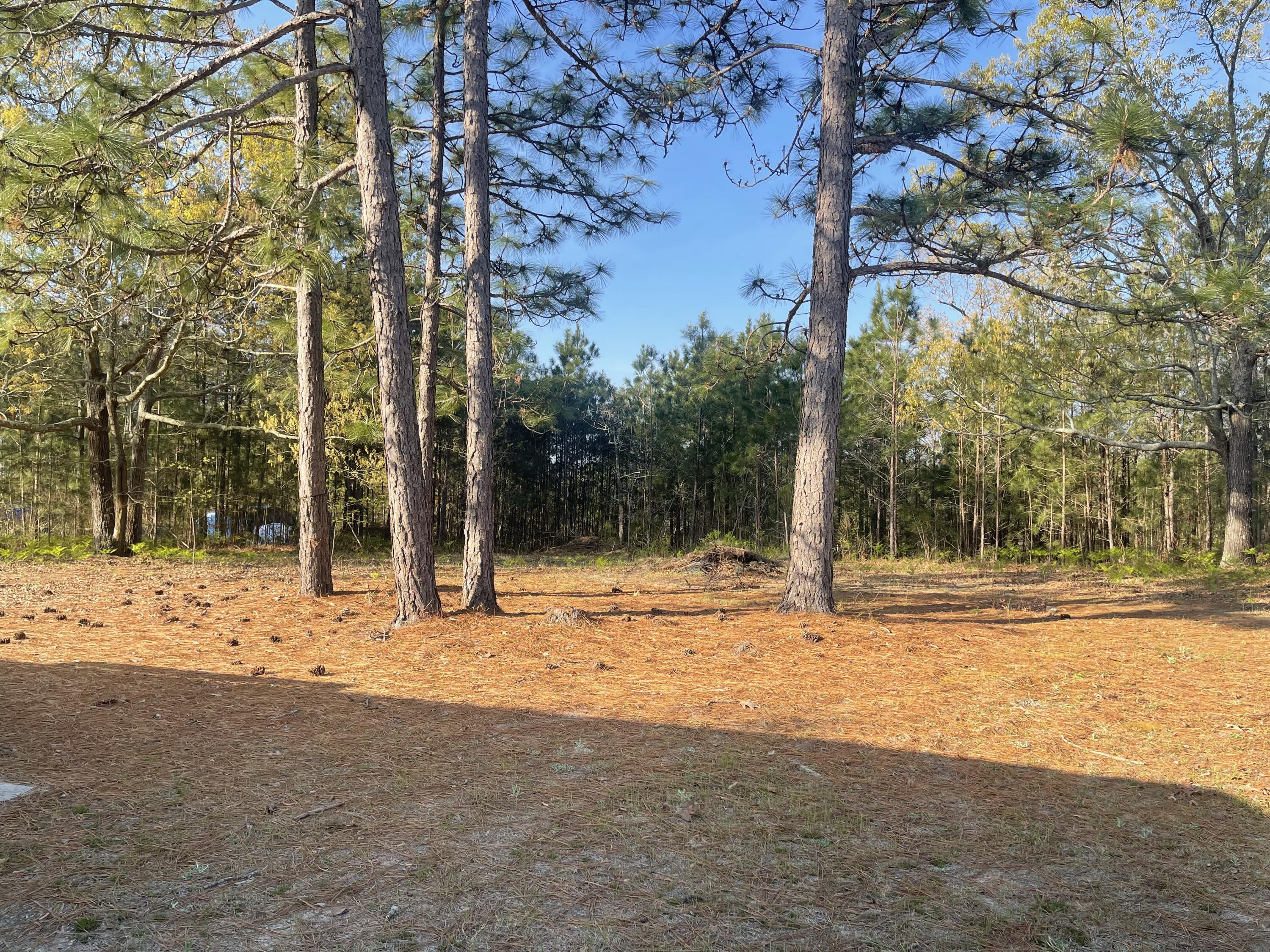 2667 Piper Road Ridge Spring, SC 29129 - Photo 8 of 18