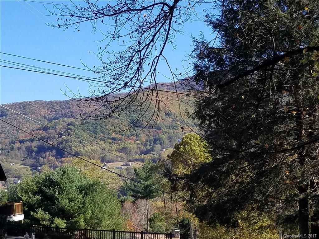 741 Walker Road Waynesville, NC 28786 - Photo 9 of 24