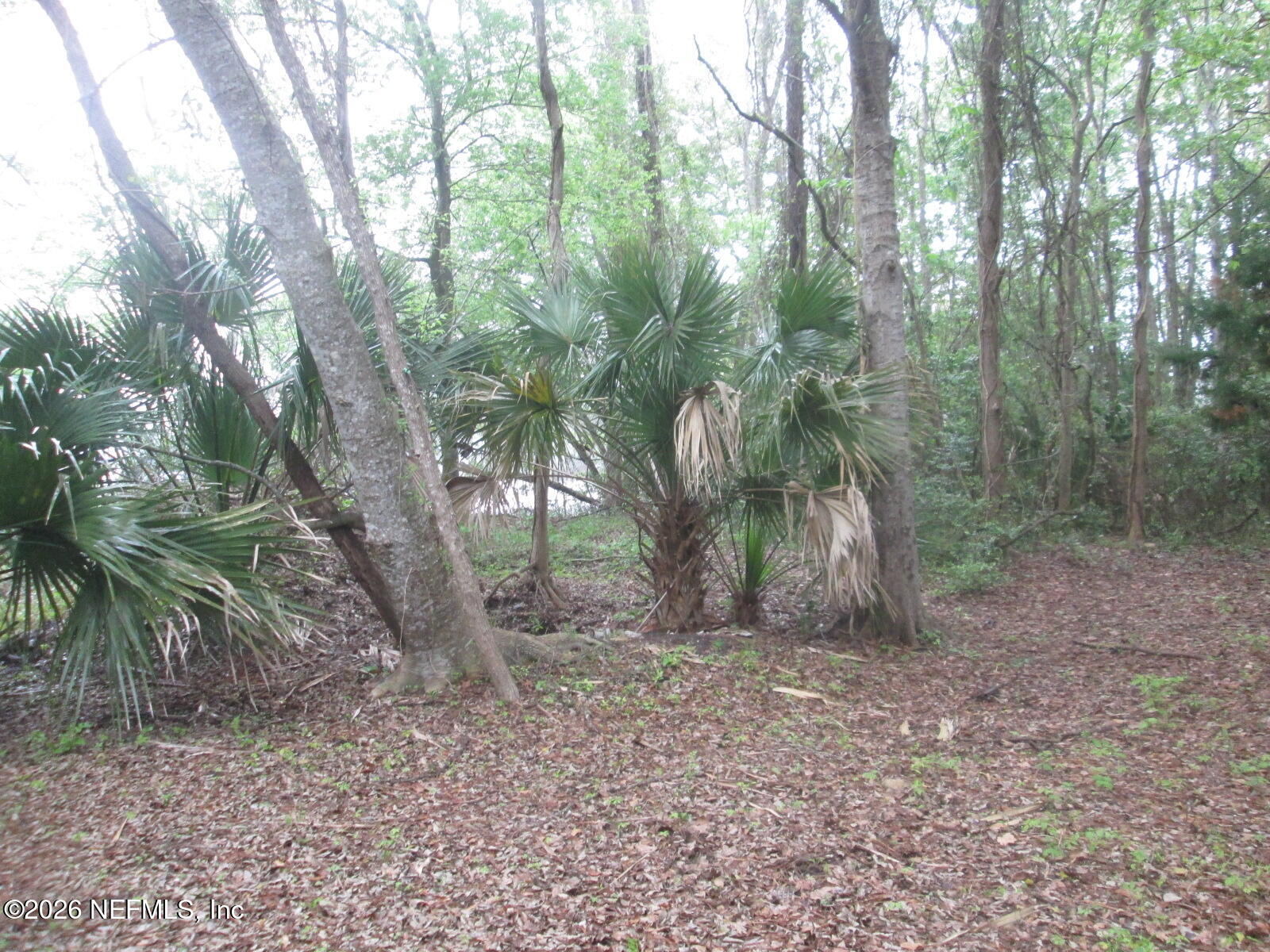 555 Highway 16 St. Augustine, FL 32084 - Photo 51 of 60 IMG_5512