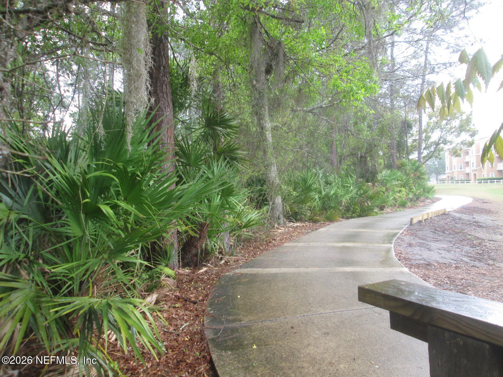 555 Highway 16 St. Augustine, FL 32084 - Photo 53 of 60 a view of a yard and tree s