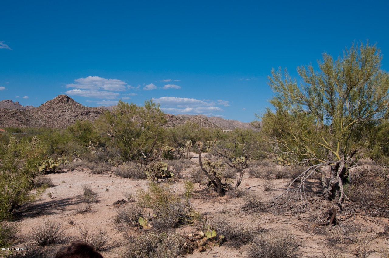 3474 West Moore Road, Unit G Marana, AZ 85658 - Photo 13 of 16 Gallery Image 13