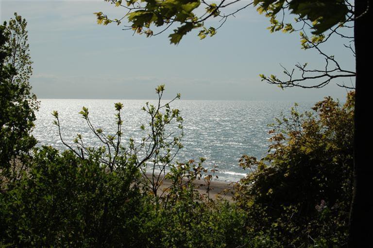 15790 Lakeshore Road Union Pier, MI 49129 - Photo 20 of 21 Additional Photo