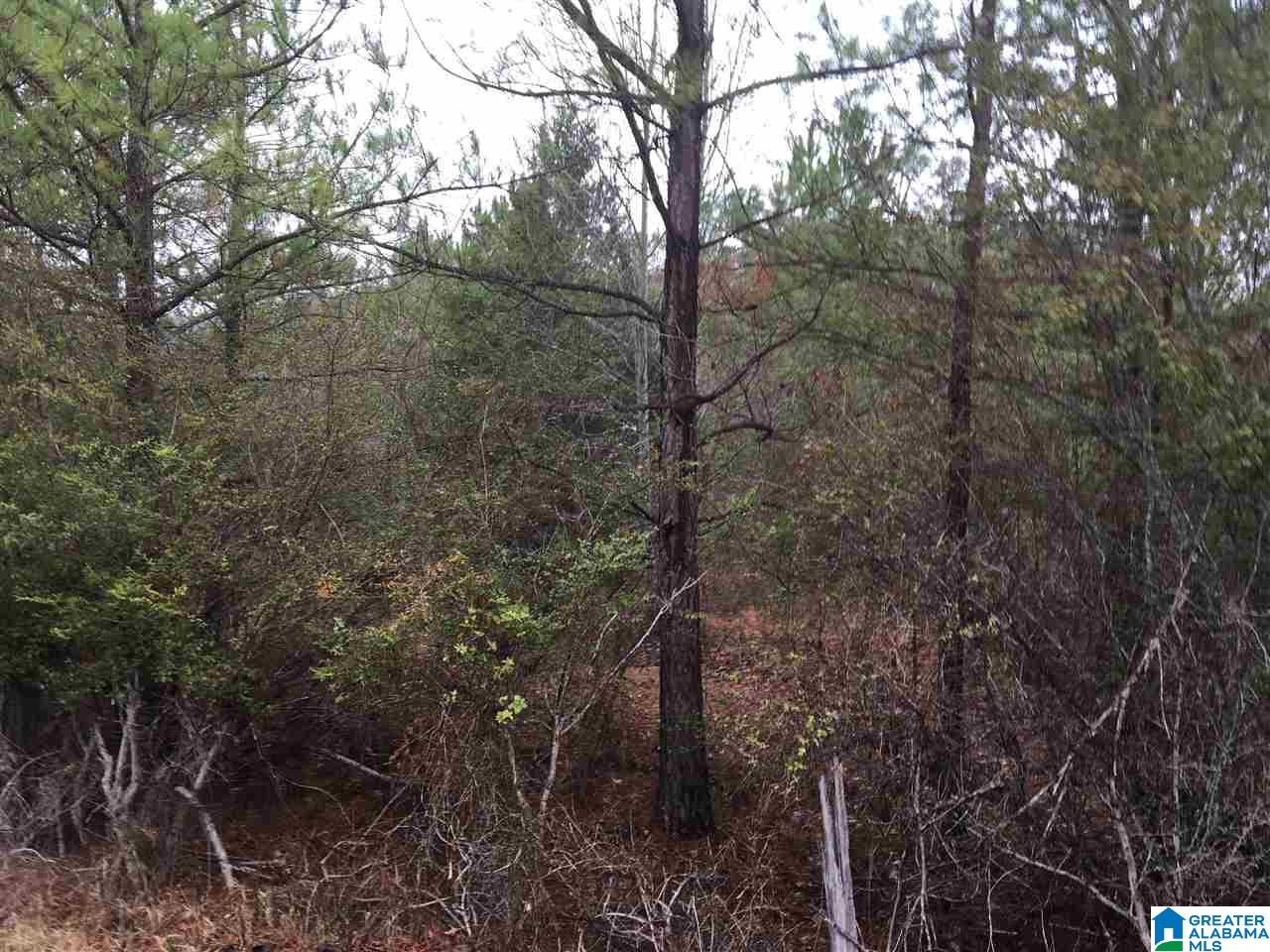 Old Choccolocco Road, Unit 97 Weaver, AL 36277 - Photo 24 of 27