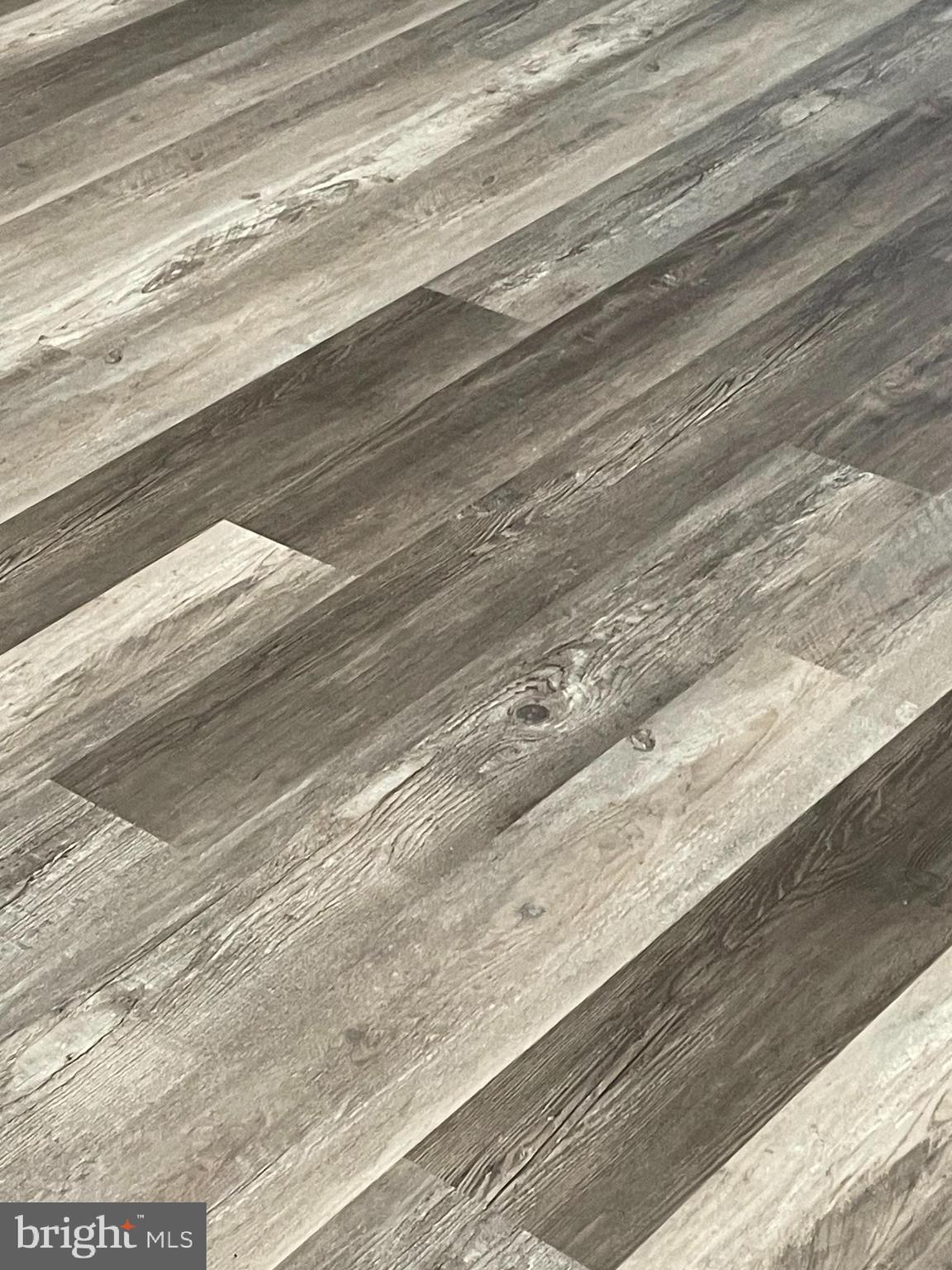 4435 Scotia Road Baltimore, MD 21227 - Photo 5 of 20 a close view of window