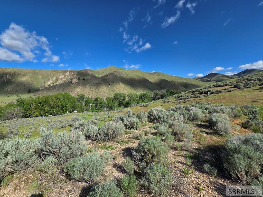 Nkn East Tower Creek Road Carmen, ID 83462 - Photo 42 of 63