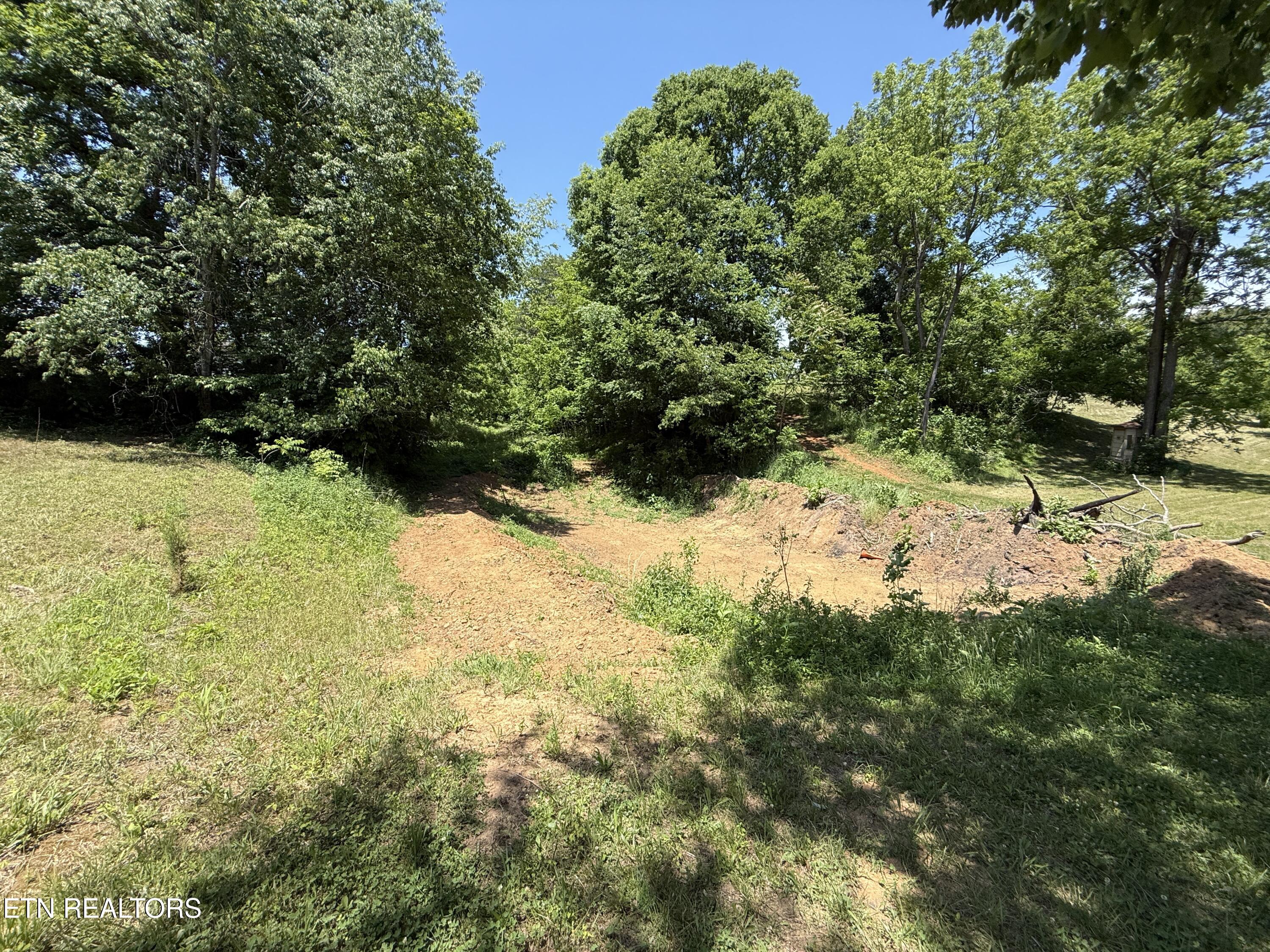 Richland Road Blaine, TN 37709 - Photo 19 of 25 IMG_5463