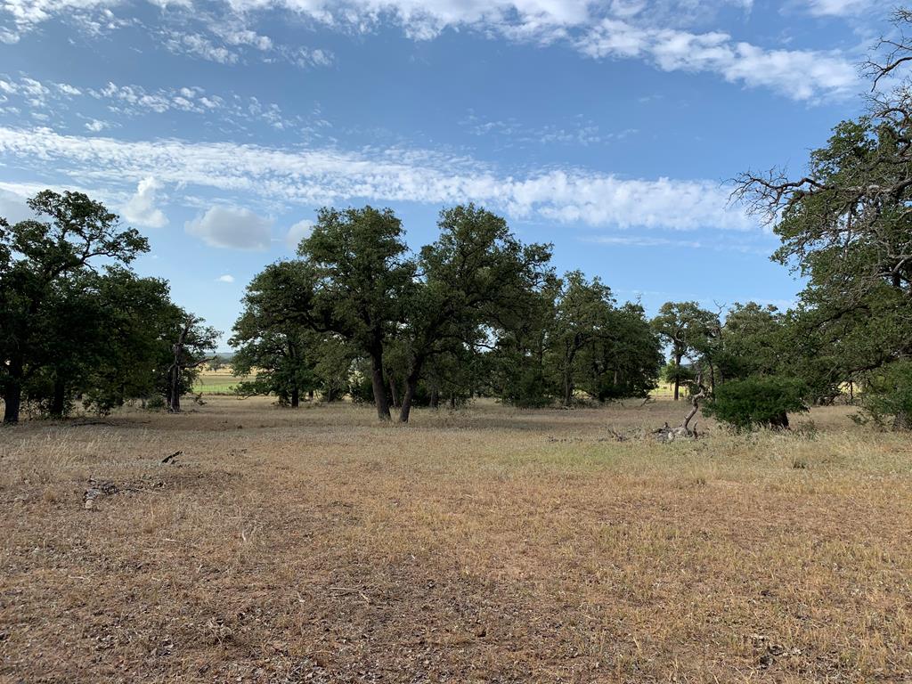 0 Ranch Road 1631 Fredericksburg, TX 78624 - Photo 1 of 1 Main View