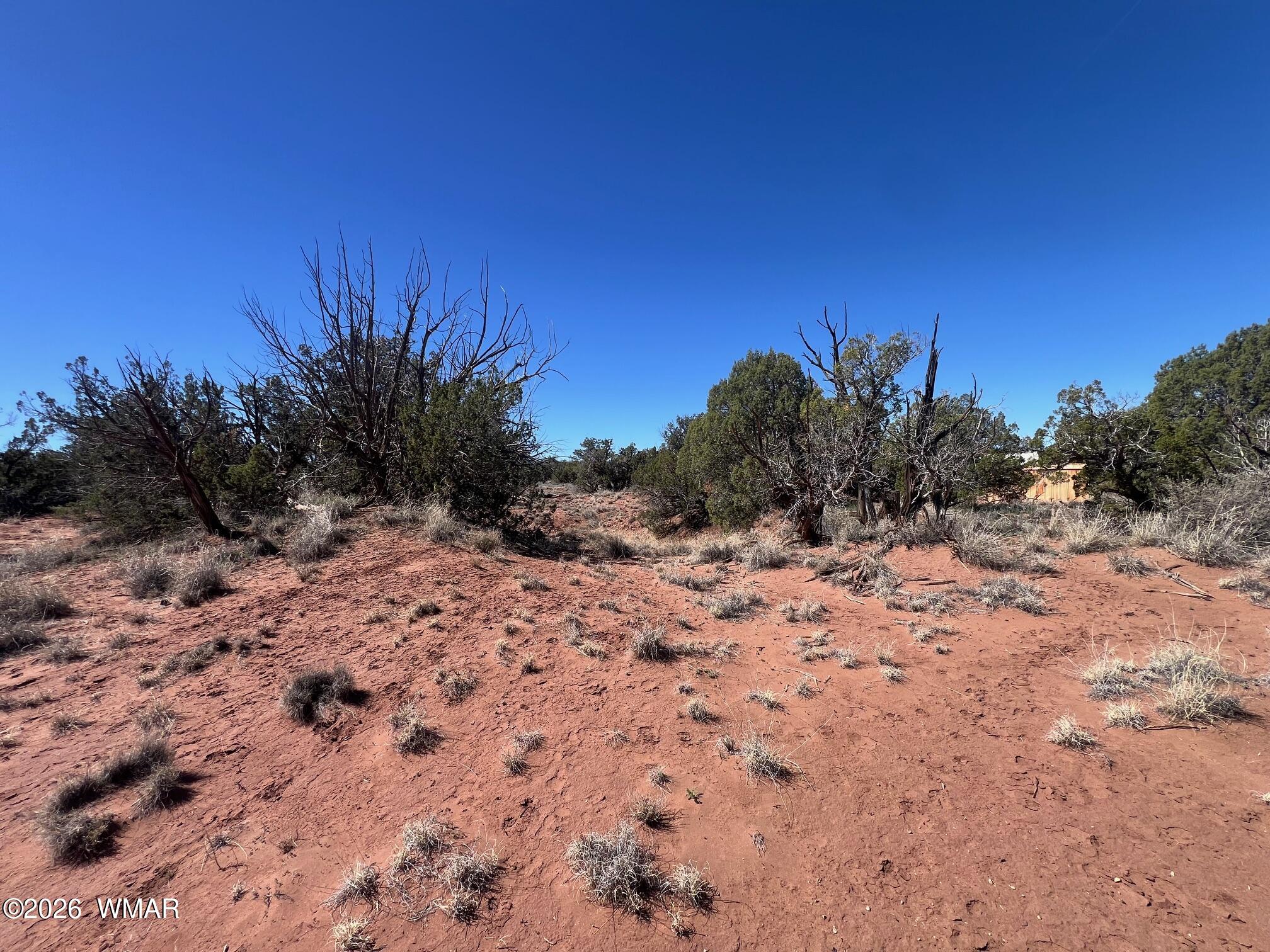 4252 Colt Road Snowflake, AZ 85937 - Photo 8 of 28