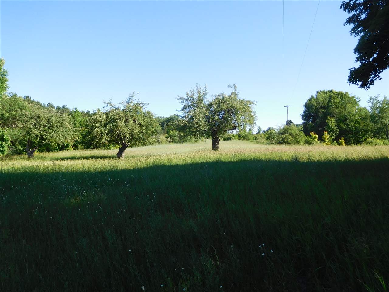 6463 Demerly Road Benzonia, MI 49616 - Photo 36 of 40 1849345-35.JPG