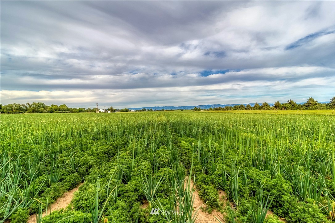 215 Last Chance Road Walla Walla, WA 99362 - Photo 30 of 35