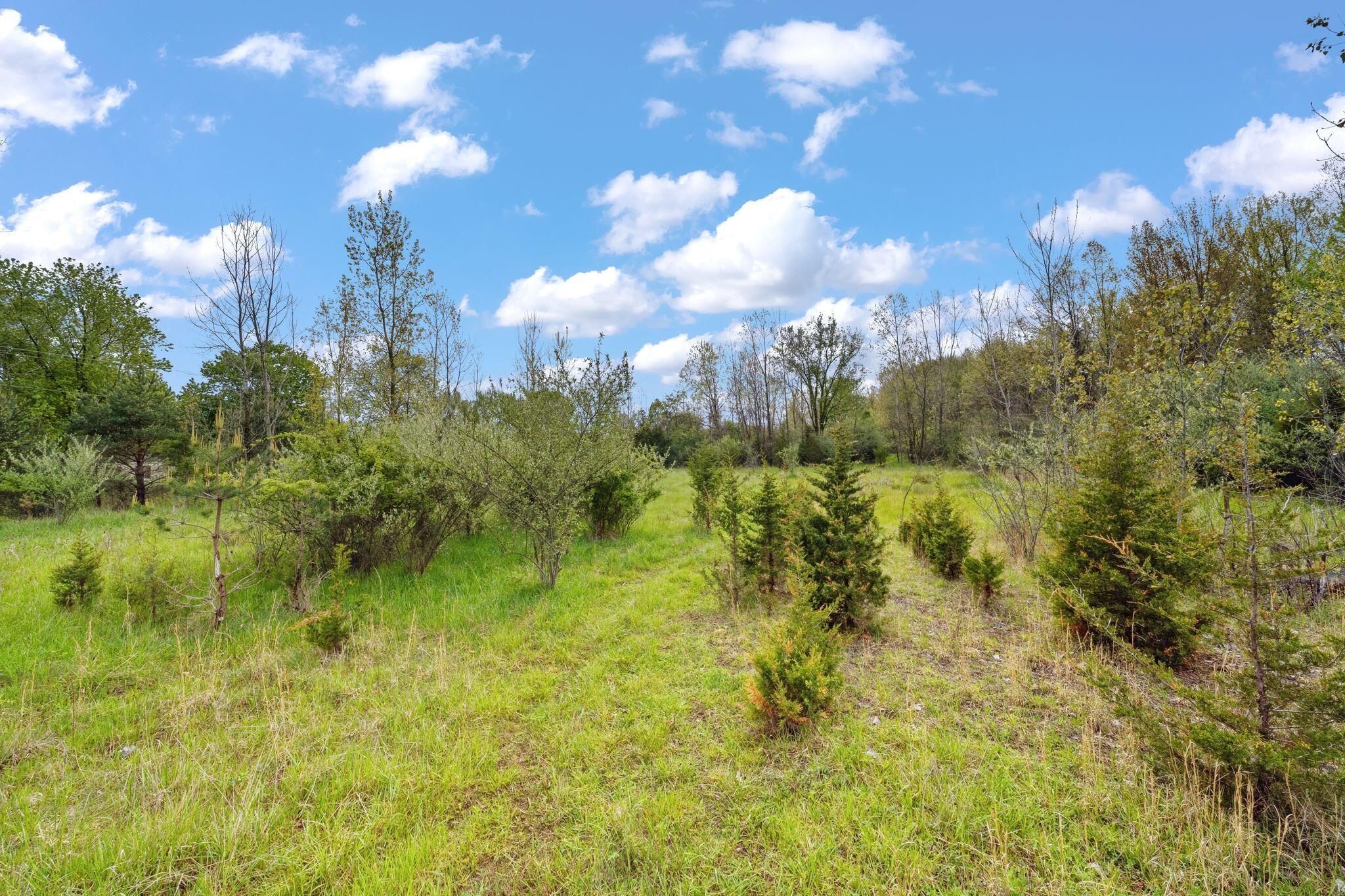 0 Lantz Road Mansfield, OH 44906 - Photo 7 of 28 AF1A3449