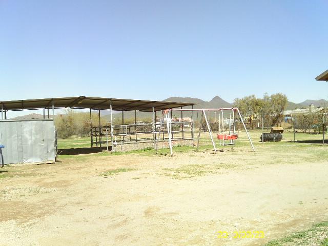 1030 East Maddock Road Phoenix, AZ 85086 - Photo 6 of 20 horse