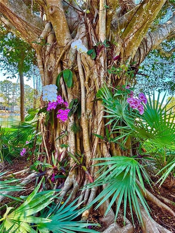 1220 Sarah Jean Circle, Unit L103 Naples, FL 34110 - Photo 33 of 50 a picture of flowers