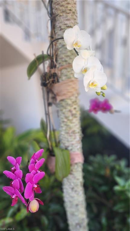 1220 Sarah Jean Circle, Unit L103 Naples, FL 34110 - Photo 34 of 50 View of exterior details