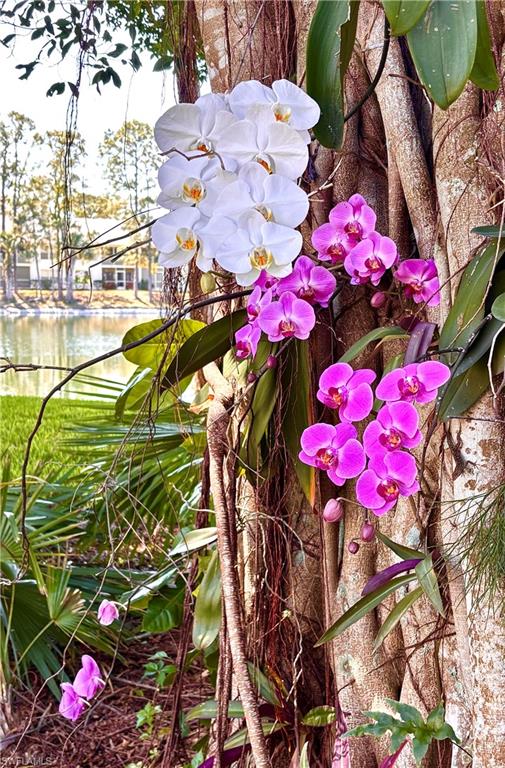 1220 Sarah Jean Circle, Unit L103 Naples, FL 34110 - Photo 35 of 50