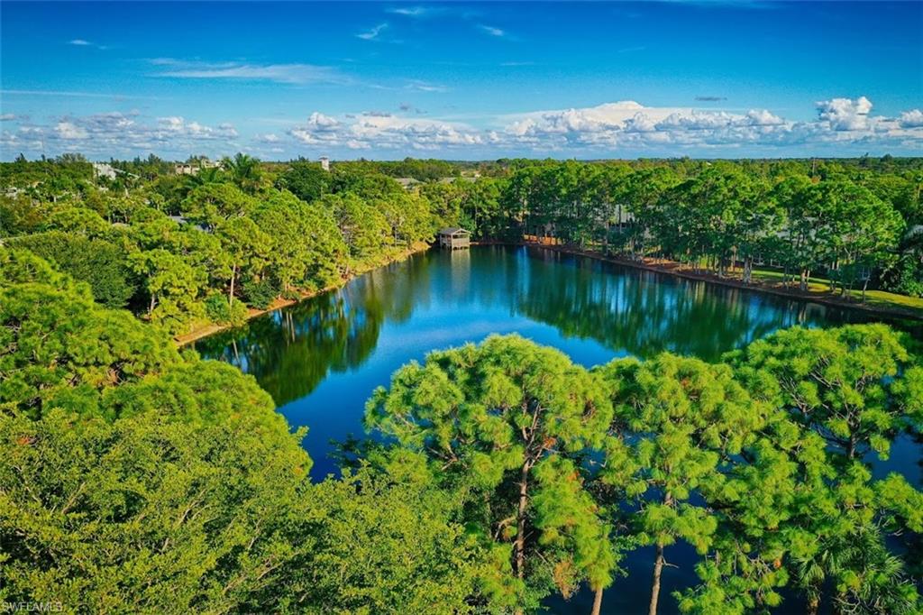 1220 Sarah Jean Circle, Unit L103 Naples, FL 34110 - Photo 49 of 50 Aerial view with a water view and a view of trees
