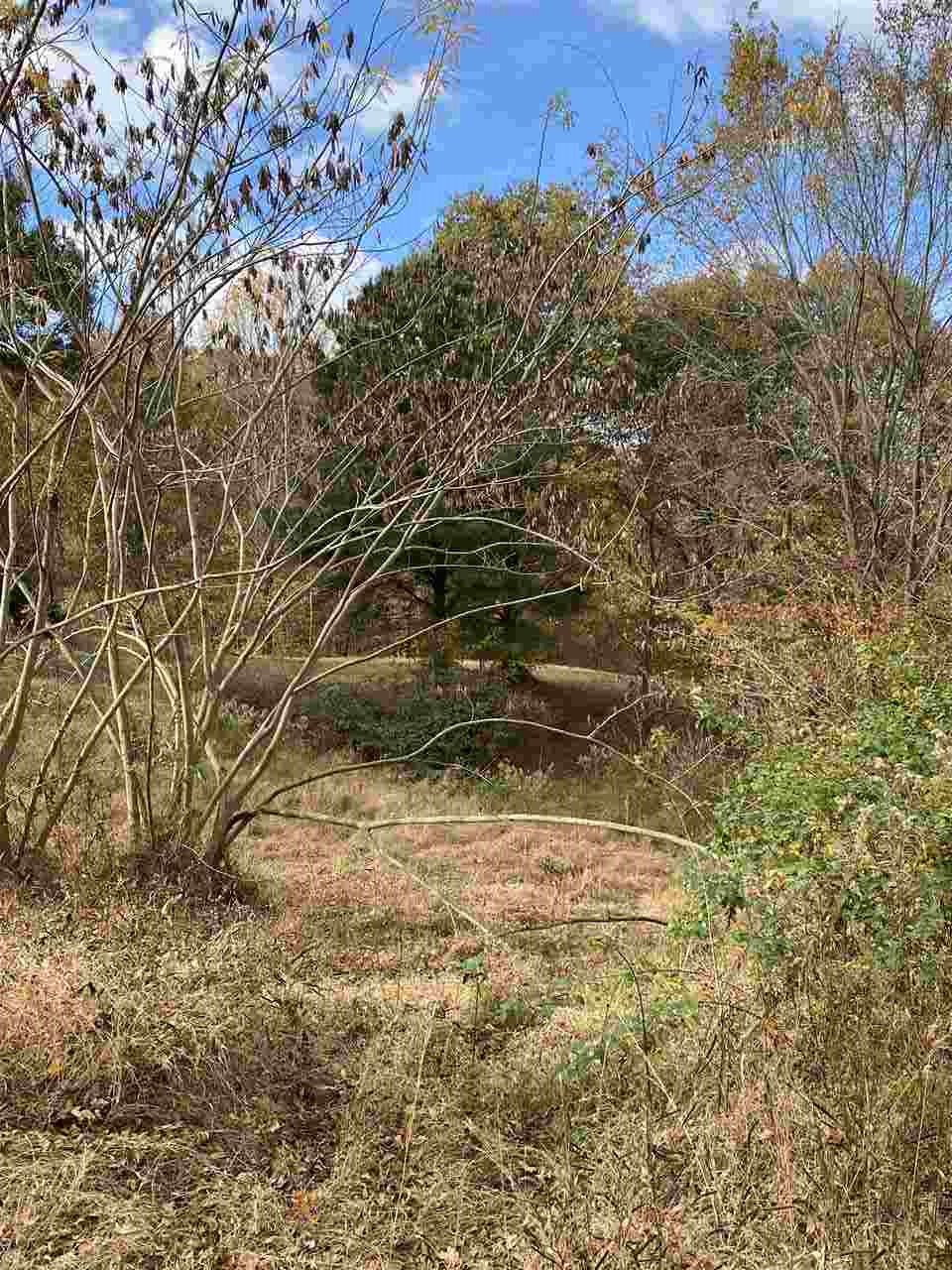 898 Glass Road Hornbeak, TN 38232 - Photo 3 of 8