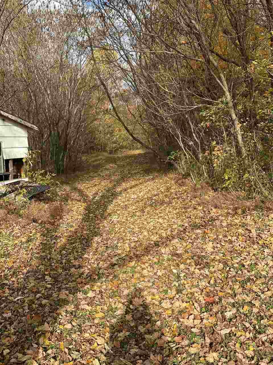 898 Glass Road Hornbeak, TN 38232 - Photo 5 of 8
